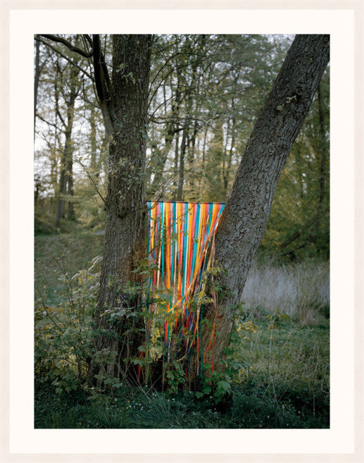 An image of colourful ribbons, hung between two trees, by Polish artist Oliver Schwarzwald, in a white wooden frame.