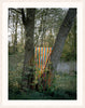 An image of colourful ribbons, hung between two trees, by Polish artist Oliver Schwarzwald, in a white wooden frame.