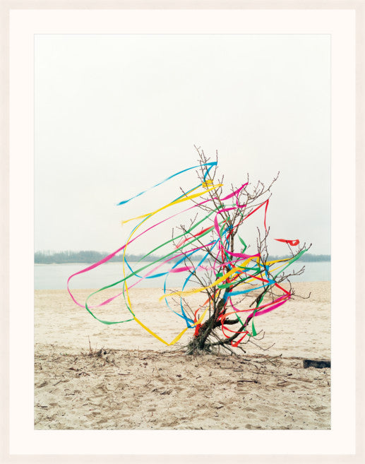 An image of a tree on a riverbank, surrounded by colourful ribbons blowing in the breeze, by Polish artist Oliver Schwarzwald. The image is presented in a white wooden frame. 