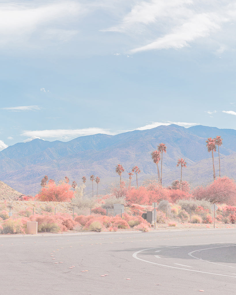 An image of palm trees, coloured pink, by emerging Portuguese artist Teresa Freitas. 
