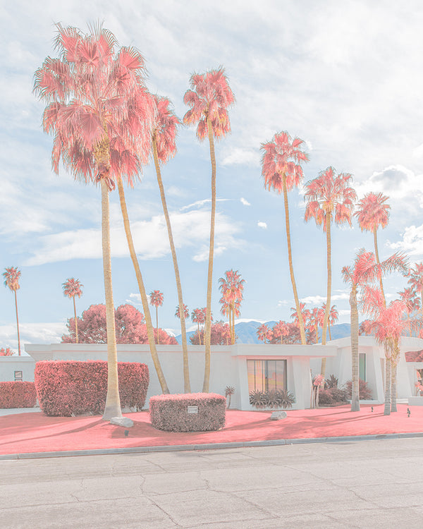 An image of palm trees and a modernist house in Palm Springs, coloured pink, by emerging Portuguese photographer Teresa Freitas.