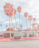 An image of palm trees and a modernist house in Palm Springs, coloured pink, by emerging Portuguese photographer Teresa Freitas.