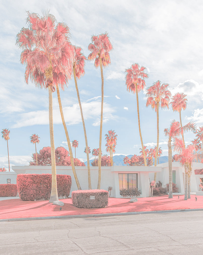 An image of palm trees and a modernist house in Palm Springs, coloured pink, by emerging Portuguese photographer Teresa Freitas.