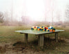 A ping pong table in a clearing, with colourful flowers draped across the middle of it, by Polish artist Oliver Schwarzwald.