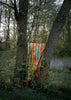 A series of colourful ribbons hung between two trees, by Polish artist Oliver Schwarzwald. 